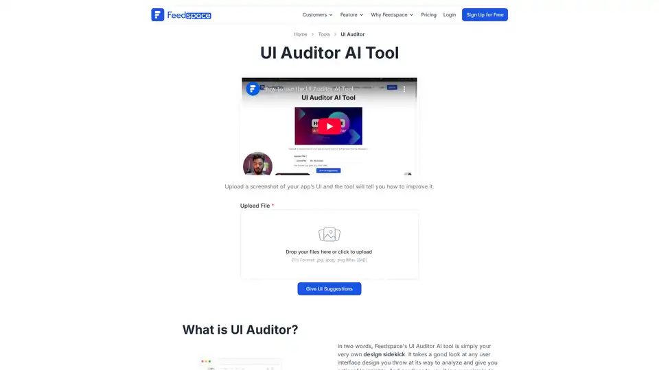 UI Auditor