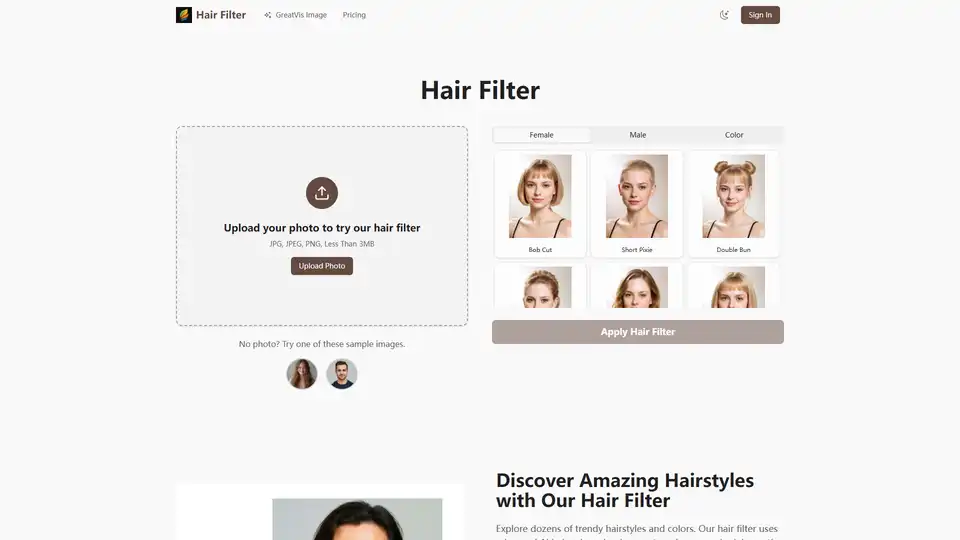 Hair Filter