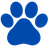 PawTrack - Pet Care Management