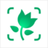 PictureThis: Aplicación de identificación de plantas con IA - Identifica plantas al instante
